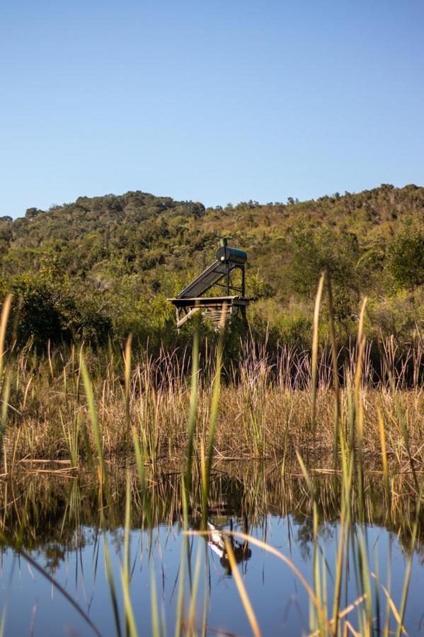 Forest Harmony Knysna Kültér fotó