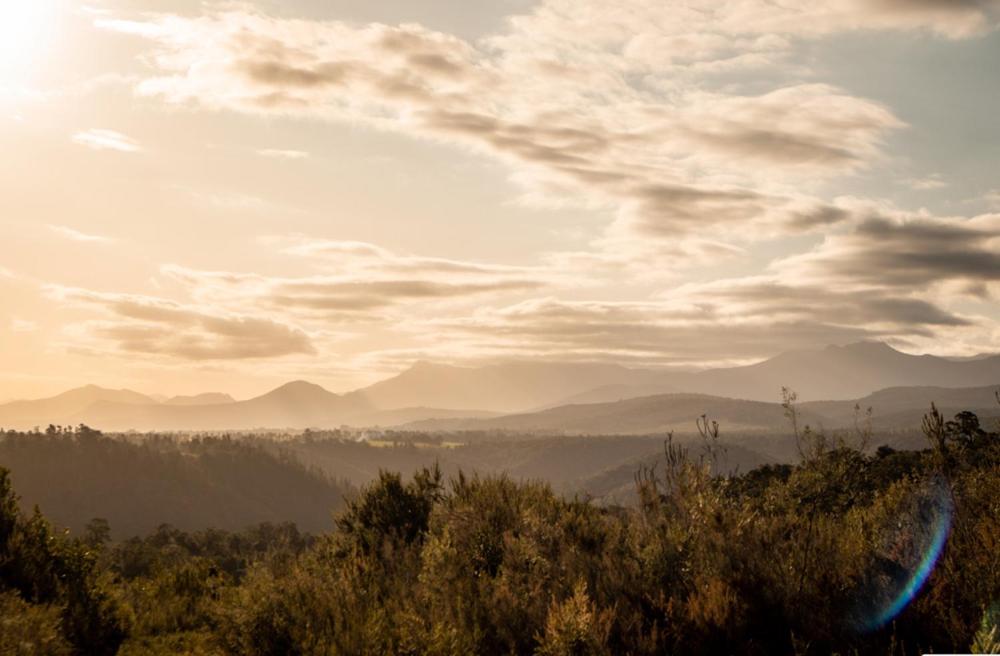 Forest Harmony Knysna Kültér fotó